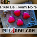 Black Ant Pill 13